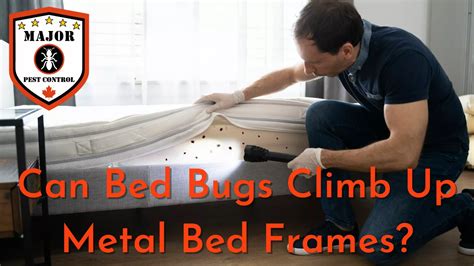 metal bed frame bug killer